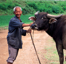 小型飼料顆粒機,農(nóng)民圓夢！